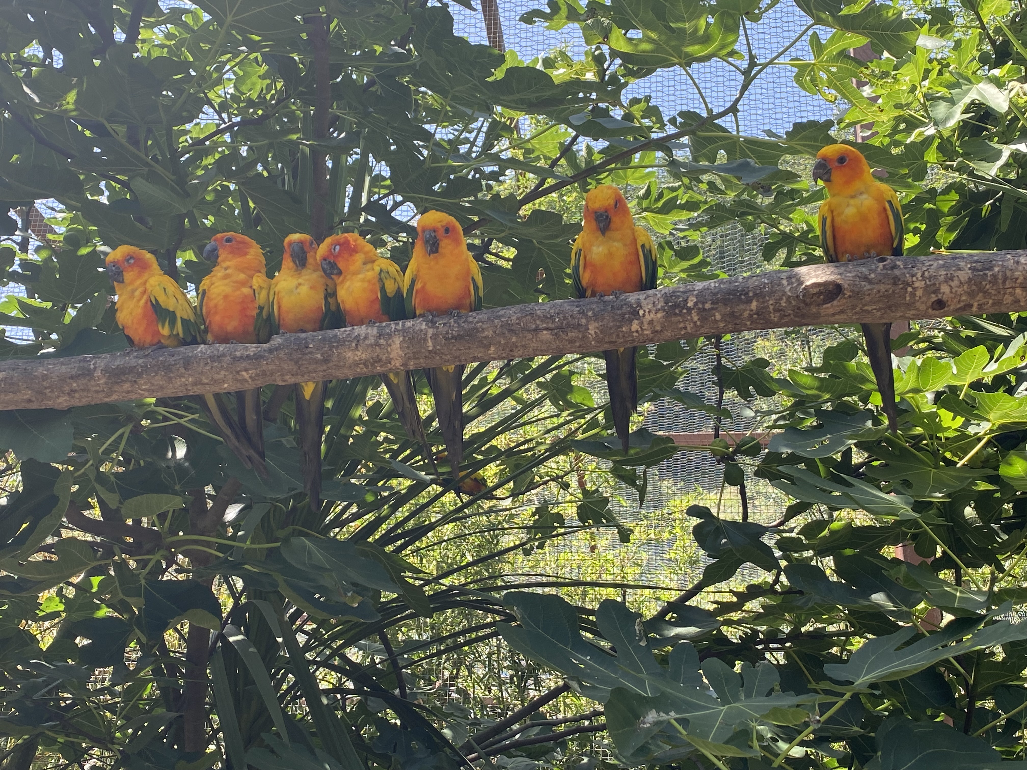 Photo n° 1 de l'avis de Nicolas.h fait le 09/08/2023 à 21:02