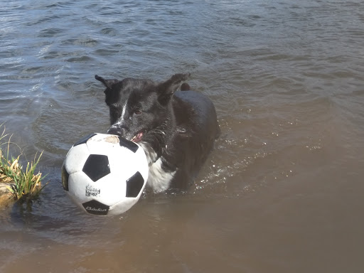 Private Golf Course «Jeremy Ranch Golf & Country Club», reviews and photos, 8770 Jeremy Rd, Park City, UT 84098, USA