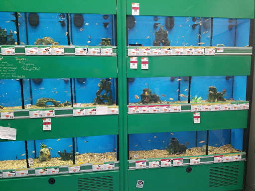 Pet Supply Store «Pet Supplies Plus», reviews and photos, 4824 Broadway St, Quincy, IL 62305, USA