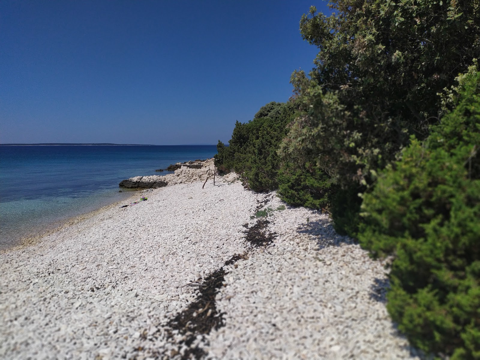 Stork beach photo #7