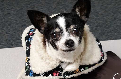 Pet Supply Store «Pet Supplies Plus», reviews and photos, 1791 W Columbia Ave, Battle Creek, MI 49015, USA