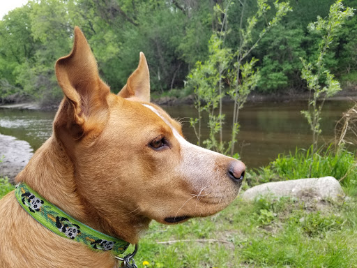 Park «Theodore Wirth Regional Park», reviews and photos, 1339 Theodore Wirth Pkwy, Golden Valley, MN 55422, USA