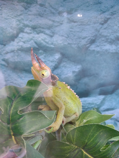 Pet Supply Store «Petco Animal Supplies», reviews and photos, 438 Southbridge St, Auburn, MA 01501, USA