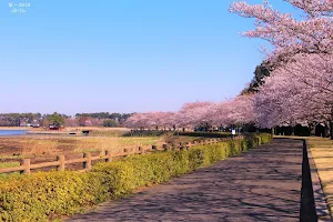 Oramachi Tataranuma Park image