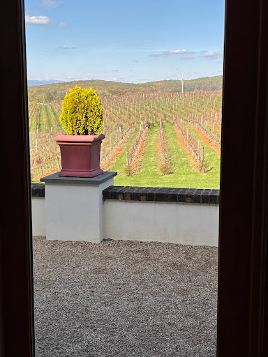 Winery «Barboursville Vineyards», reviews and photos, 17655 Winery Rd, Barboursville, VA 22923, USA