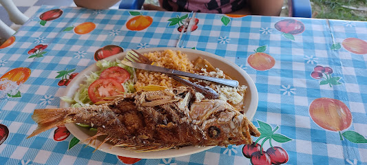 Restaurante el Delfĺn - 92773 Túxpam de Rodríguez Cano, Veracruz, Mexico