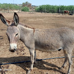 Photo n°9 de l'avis de silvia.a fait le 25/07/2021 à 16:54 sur le  AGRI BEACH eden Salento à Marina di Pescoluse