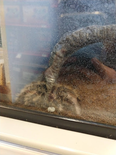 Pet Supply Store «Petco Animal Supplies», reviews and photos, 2765 Papermill Rd G-1, Reading, PA 19610, USA