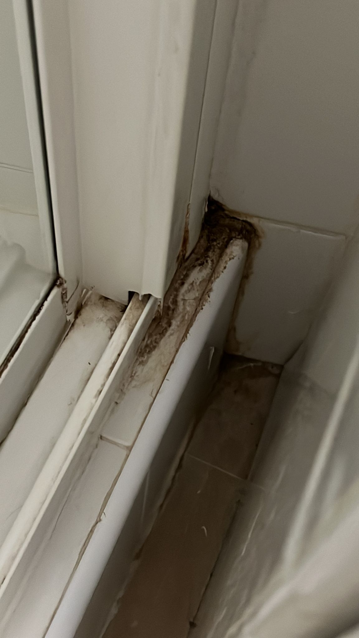 Photo n° 1 de l'avis de Françoise.u fait le 15/10/2023 à 22:49