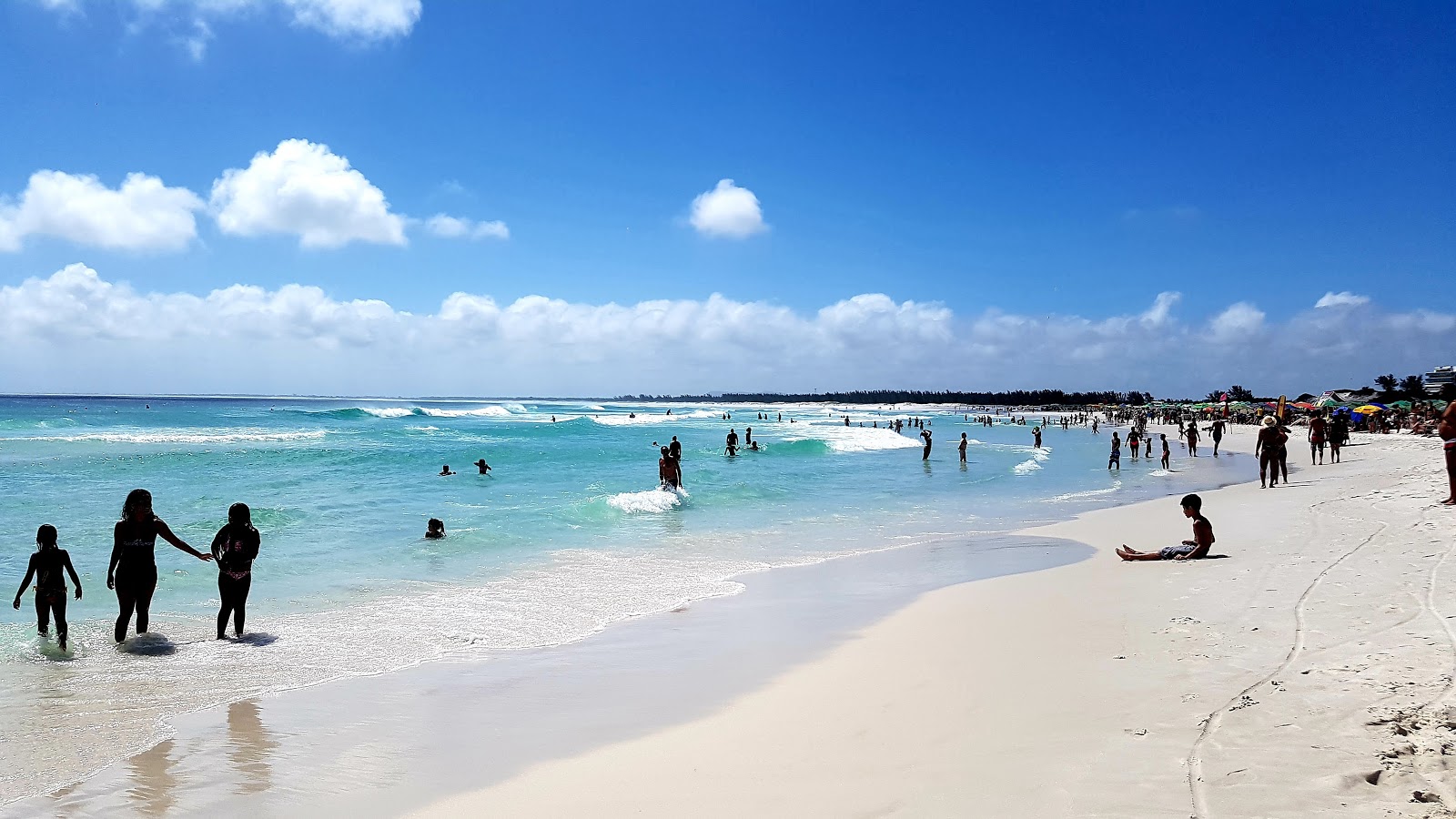 Foto von Praia Grande wilde gegend