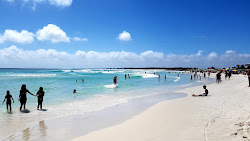 Foto von Praia Grande wilde gegend