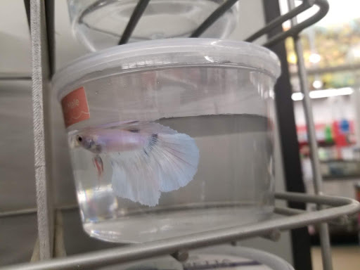 Pet Supply Store «Petco Animal Supplies», reviews and photos, 217 Oak Lee Dr #16, Ranson, WV 25438, USA