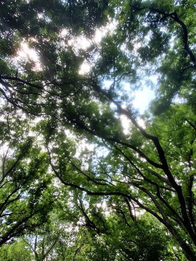 Nature Preserve «Rowlett Creek Preserve», reviews and photos, 2525 Castle Dr, Garland, TX 75040, USA