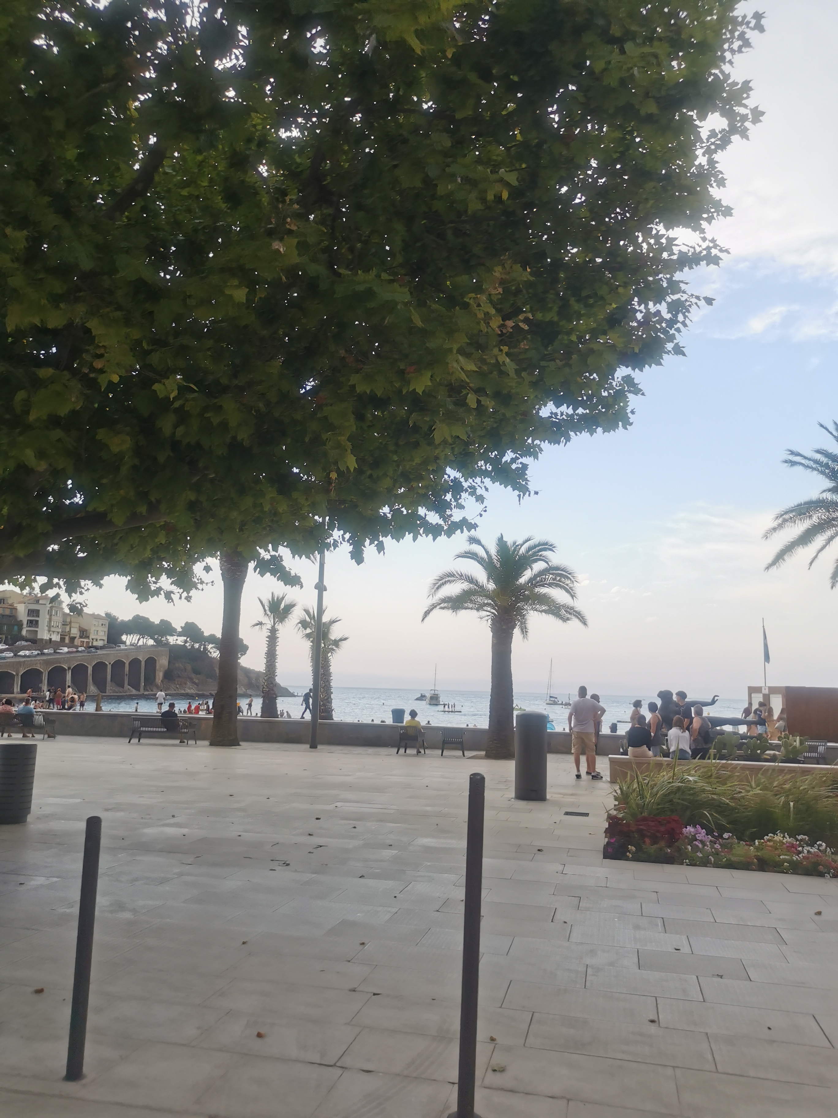 Photo n° 1 de l'avis de M.. fait le 15/08/2021 à 14:48