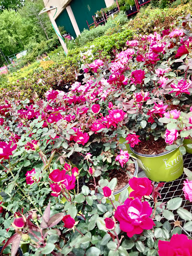 Home Improvement Store «The Home Depot», reviews and photos, 80 Buckland Hills Dr, Manchester, CT 06042, USA