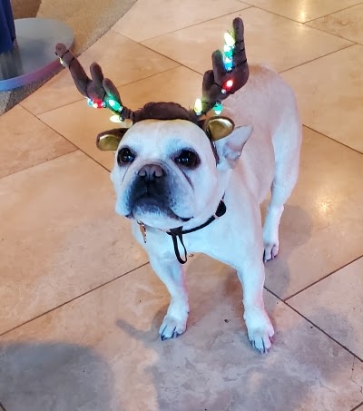 Boutique «Bravo Boutique», reviews and photos, 2840 E Skyline Dr, Tucson, AZ 85718, USA