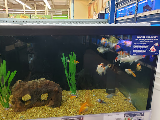 Pet Supply Store «Petco Animal Supplies», reviews and photos, 585 E Wetmore Rd, Tucson, AZ 85705, USA