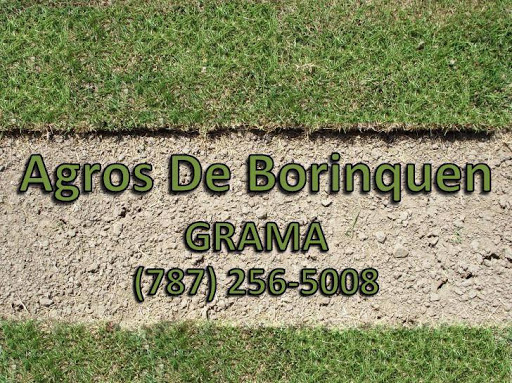 (Grama) Agros de Borinquen