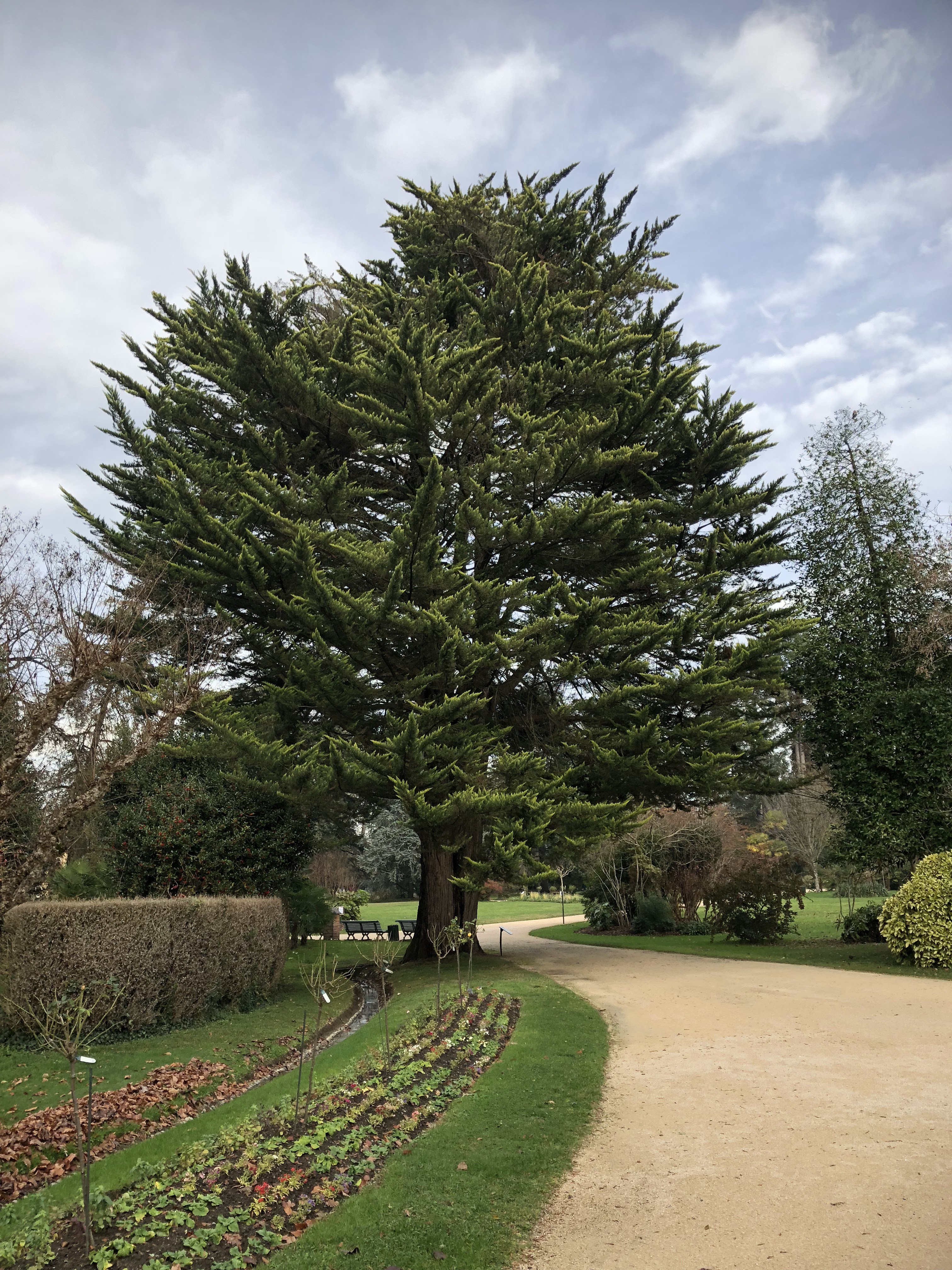 Photo n° 42 de l'avis de Philippe.a fait le 18/12/2018 à 14:27
