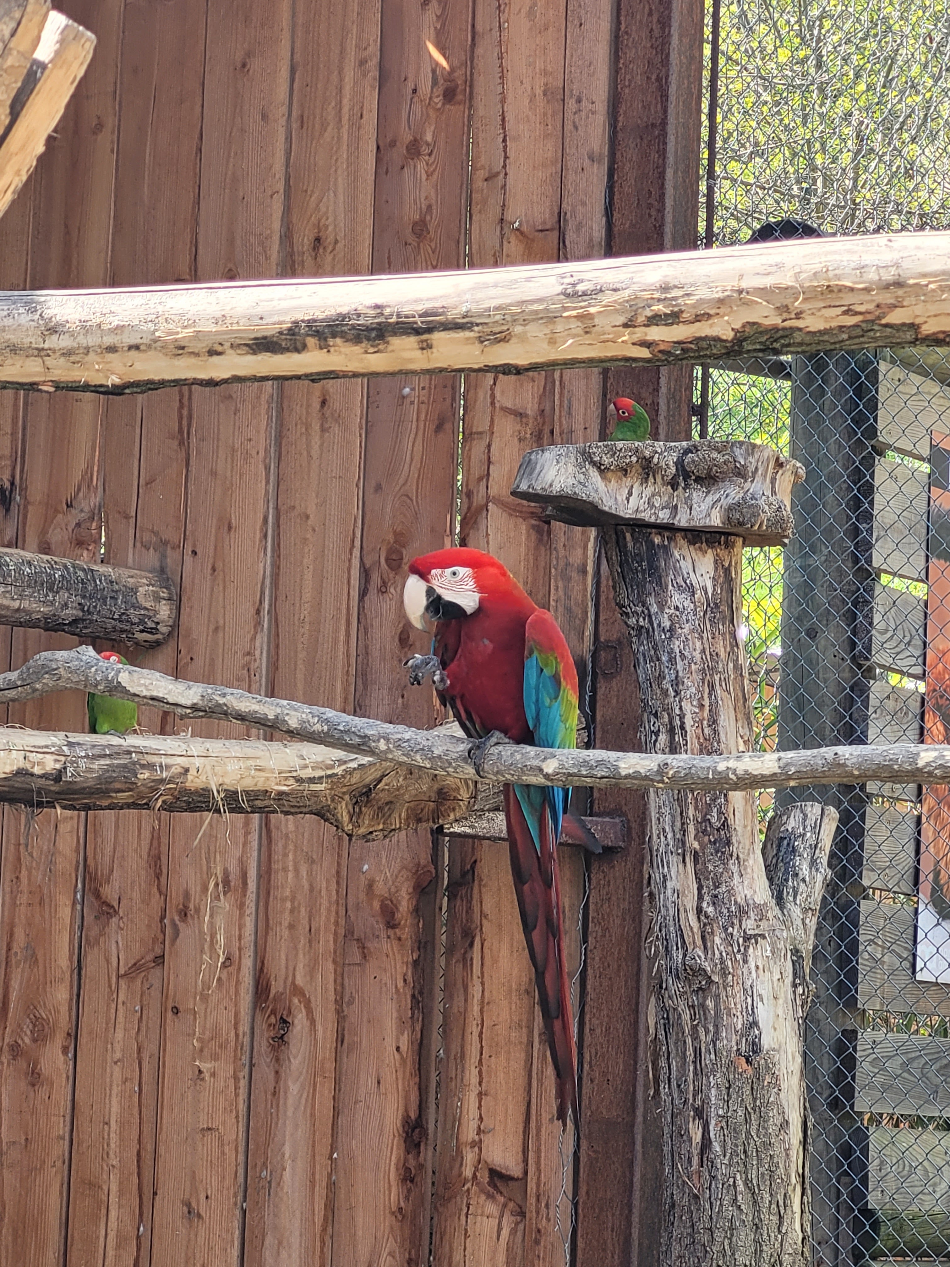 Photo n° 12 de l'avis de krystalita.t fait le 06/05/2023 à 15:24