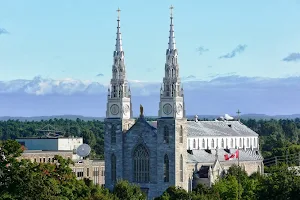 Notre Dame Cathedral Basilica image