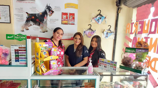 Veterinaria Golden Pets Quito - Veterinario