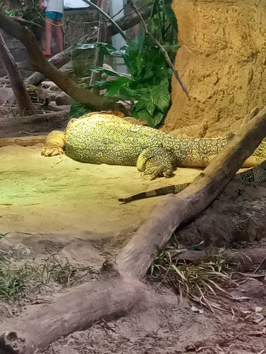 Zoo «Arctic Ring of Life», reviews and photos, 8450 W 10 Mile Rd, Royal Oak, MI 48067, USA