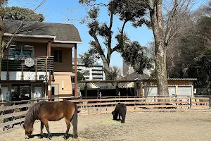 Yoyogi Pony Park image