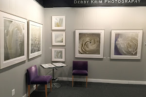 Debby Krim Arts