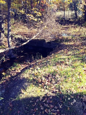 Moores Falls Conservation Area - photo 44