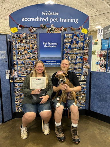 PetSmart Dog Training