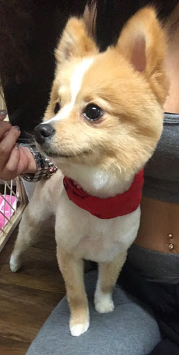 Pet Supply Store «Magic Pet Baldwin Park», reviews and photos, 4836 New Broad St, Orlando, FL 32814, USA