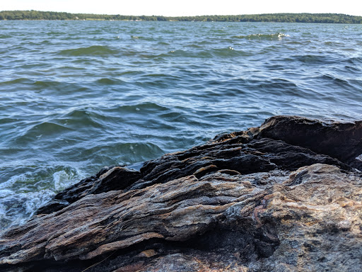 Nature Preserve «Littlejohn Island Preserve», reviews and photos, Pemasong Ln, Yarmouth, ME 04096, USA