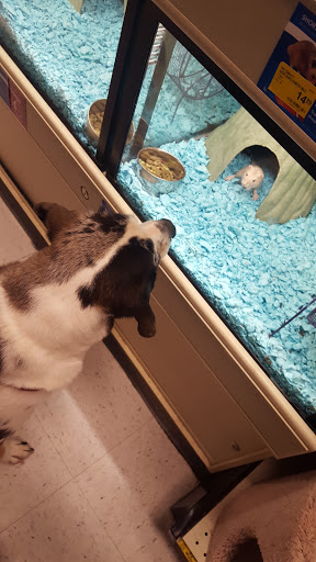 Pet Supply Store «PetSmart», reviews and photos, 5401 N Garland Ave, Garland, TX 75040, USA