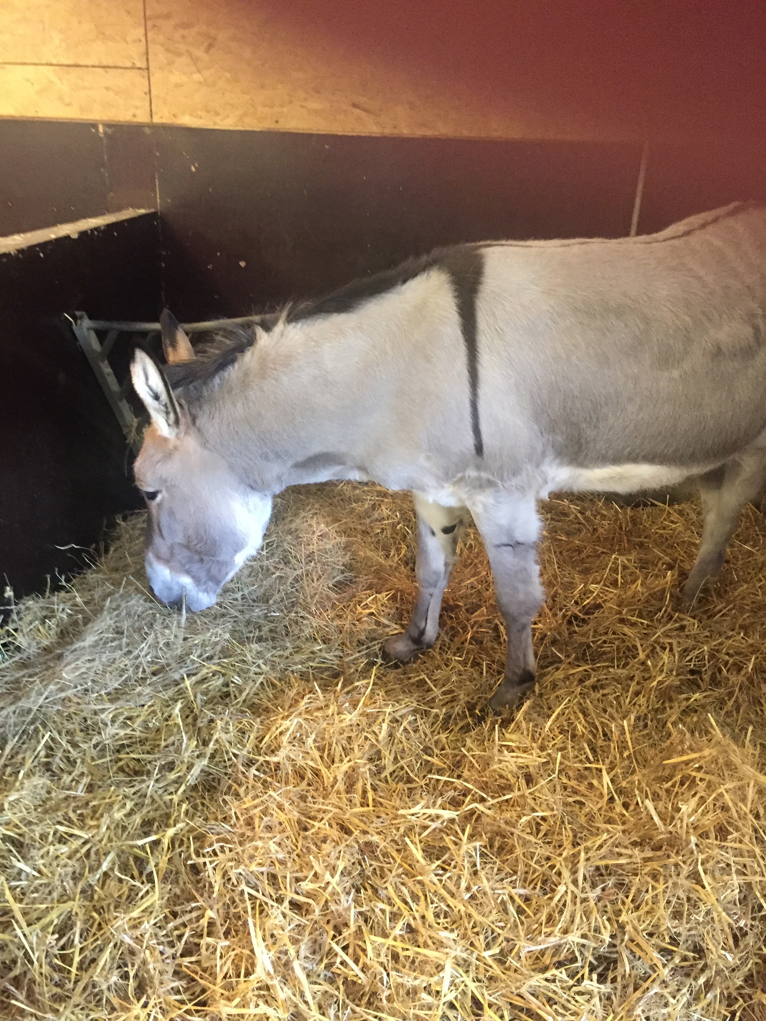 Photo n° 14 de l'avis de lou.o fait le 21/04/2018 à 14:21