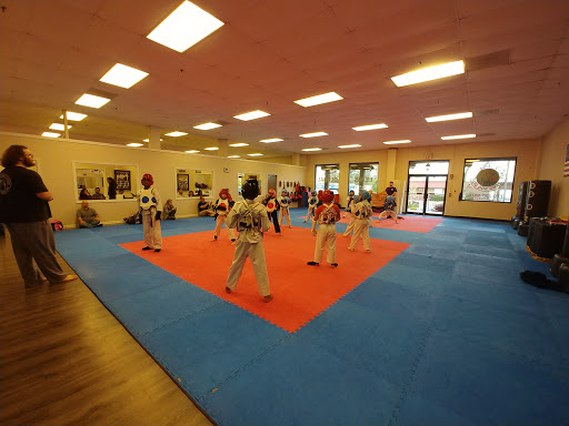 Lewis Global Karate - North Atlanta Karate Lessons, Tang Soo Do, Martial Arts