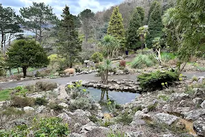 Happy Valley Botanical Gardens image