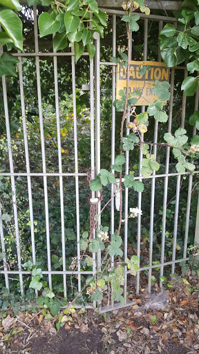 Memorial Park «Cypress Lawn Funeral Home & Memorial Park», reviews and photos, 1370 El Camino Real, Colma, CA 94014, USA