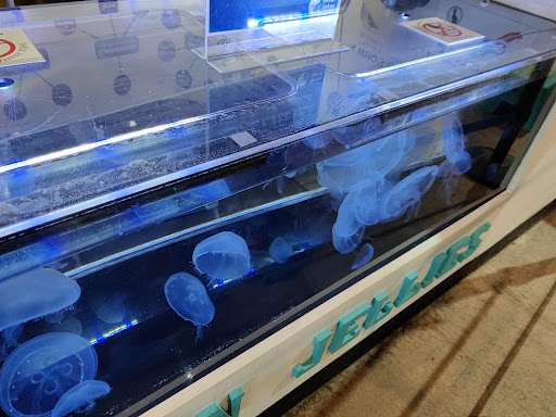 Aquarium «Great Lakes Aquarium», reviews and photos, 353 Harbor Dr, Duluth, MN 55802, USA