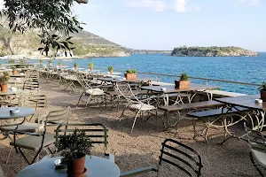 Aquarella Cafe image