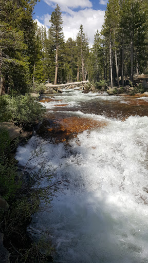 Shopping Mall «Union Square, San Francisco», reviews and photos, 333 Post St, San Francisco, CA 94108, USA
