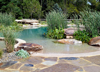 Natural Swimming Pools - Photo 3 - Car repair in Phoenix, AZ, Phoenix