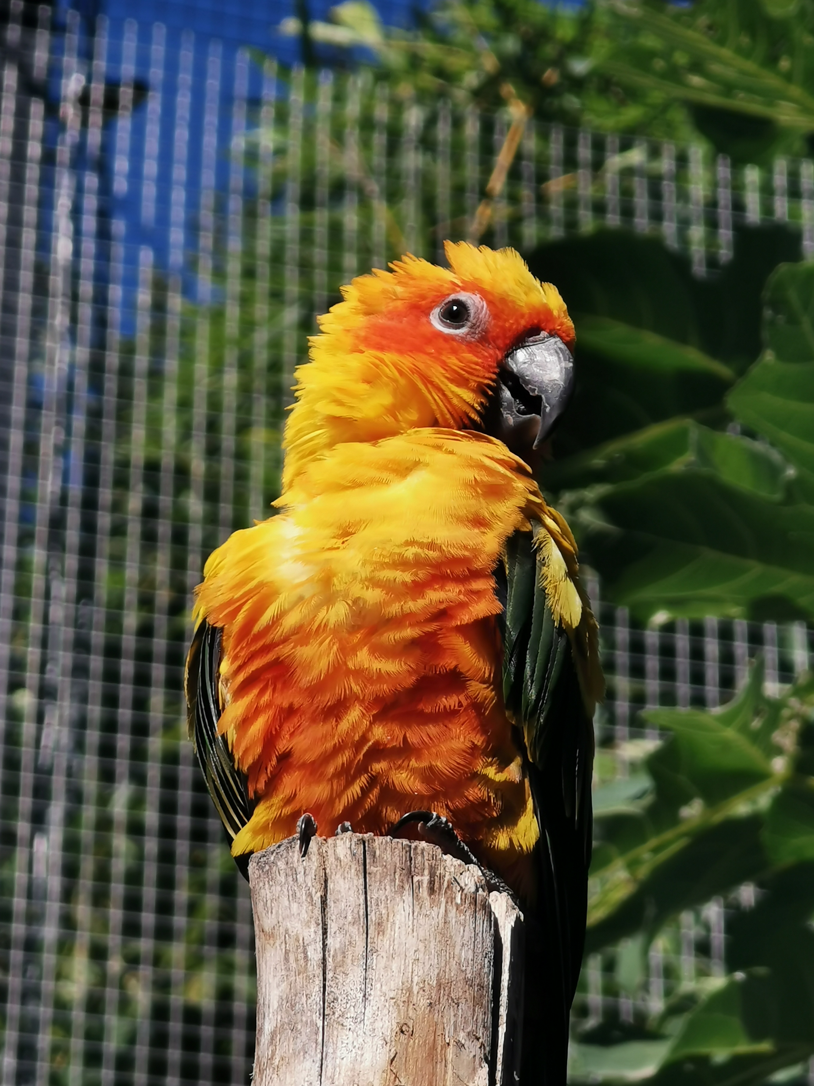 Photo n° 22 de l'avis de Sylvain.i fait le 03/09/2020 à 11:35