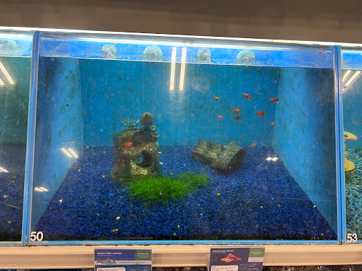 Pet Supply Store «PetSmart», reviews and photos, 1125 Hover St, Longmont, CO 80501, USA