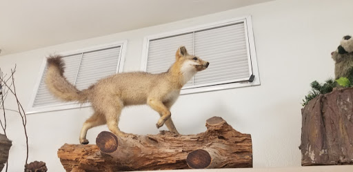 Festival «Spirit of the Suwannee Music Park», reviews and photos, 3076 95th Dr, Live Oak, FL 32060, USA