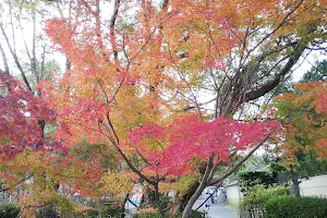 Nagaoka Park image