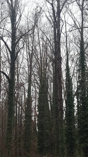 Park «Sandy Springs - Ridgeview Park», reviews and photos, 5200 S Trimble Rd, Sandy Springs, GA 30342, USA