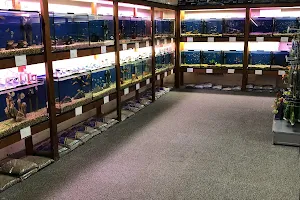 West Ryde Aquarium image