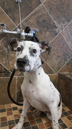 Pet Supply Store «Pet Valu», reviews and photos, 8928 Darrow Rd D101, Twinsburg, OH 44087, USA