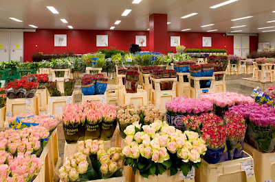 FleuraMetz Cash & Carry Rennes à Cesson-Sévigné